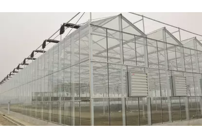 Теплицы по технологии VENLO Теплицы по технологии VENLO